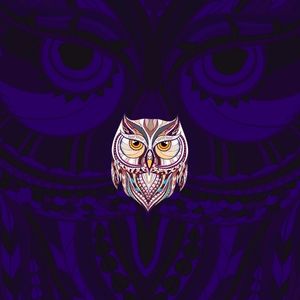 Meet your Posher, Kelli